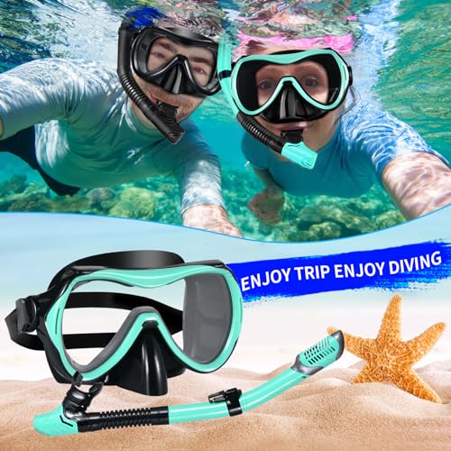 WHOHOLL Snorkeling Gear for Adults, Anti-Fog and Anti-Leak Dry Snorkel Set, 180°Panoramic Wide View Diving Mask Snorkel Kit for Snorkeling Scuba Diving Swimming Travel