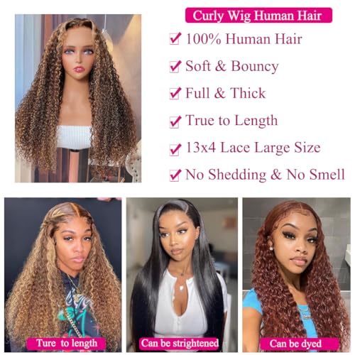 ZANPAL 4/27 Highlight Lace Front Wig Human Hair 18 Inch Honey Blonde Curly Human Hair Wig 180 Density 13x4 Hd Transparent Frontal Wig Ombre Deep Curly Wig For Black Women Pre Plucked With Baby Hair