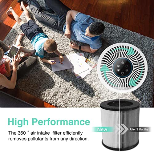 Tailulu Air Purifier Replacement Filter for D09 Air Cleaner, 3-in-1 True H13 HEPA Filter, 1 Pack