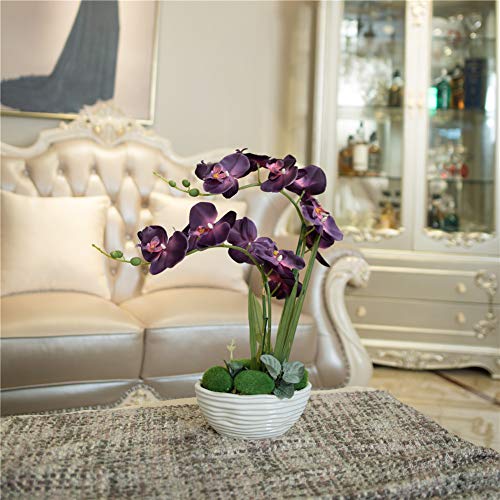 YSZL Large Artificial Potted Orchid Plant, Silk Flower Arrangement with Ceramics Vase, Purple Blue