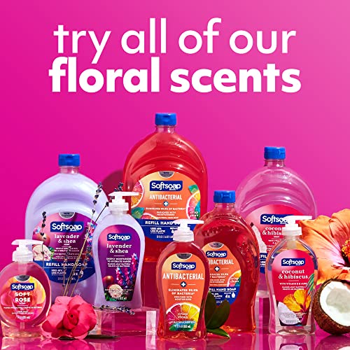 Softsoap Limited Edition Liquid Holiday Hand Soap and Moisturizing Body Wash Bundle, Including Peppermint and Pine Liquid Hand Soaps, Vanilla and Peppermint Body Washes, 4 Piece Gift Set