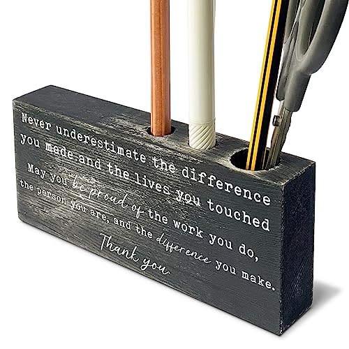 vizuzi Chaos Coordinator Gifts for Women, Men, Teachers, Boss, Chaos Coordinator Sign, Funny Pen Pencil Holder Fun Cute Organizer for Desk or Shelf for Home Office peh1