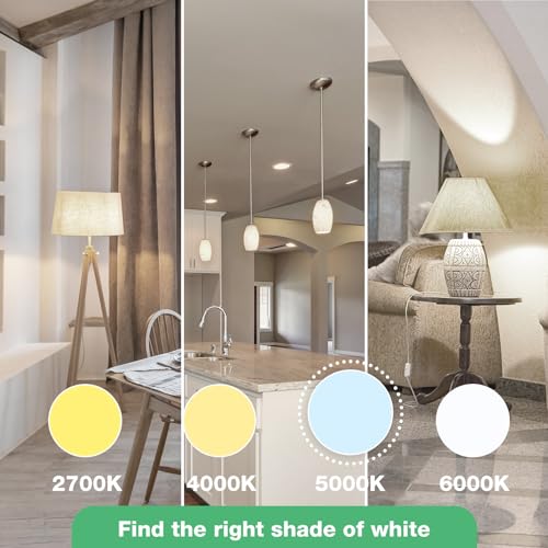DEGNJU LED Light Bulbs Soft White 2700K, 60 Watt Equivalent LED Bulbs, A19 Standard Bulbs, 800 LM, 15000 Hours, E26 Base, Non-Dimmable, 8.5W White LED Bulbs for Bedroom Living Room, 12 Pack