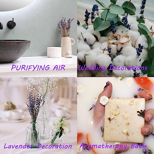 Bnecnet 10PCS Faux Pampas Grass - 17.7" Orange Pampas Grass Decor Fluffy Small Pampas Grass Flower Arrangement and Vase Filler for Boho Home Wedding Mothers Day Decoration