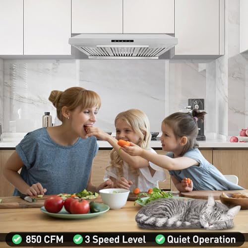 Vesta Arlington 850 CFM Powerful 30 Inch Under Cabinet Range Hood With Seamless Stainless Steel Body, Twin Turbo Motors, 3 Speed Touch Screen, Delay Shutoff, Round Vent, LED Lights, Oil Collector