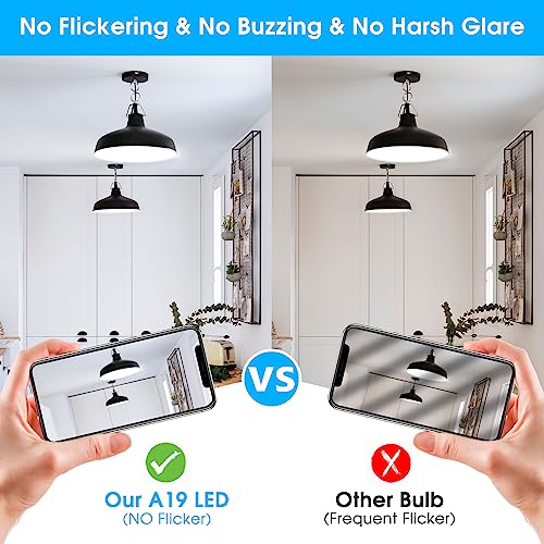 Maylaywood A19 LED Light Bulbs, 60 Watt Equivalent LED Bulb, Daylight White 5000K, 850 Lumen, E26 Base, Non-Dimmable, 9W Bright White LED Bulb, 4-Pack