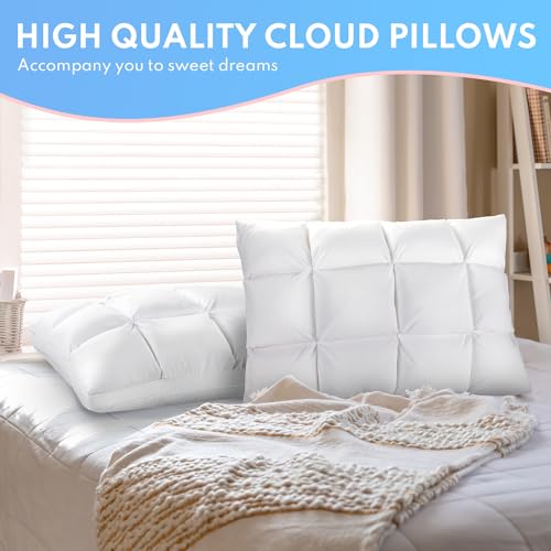 HEYCUZI Bed Pillows Queen Size Set of 2 - Luxury Hotel Soft Cloudy Comfort Pillows for Sleeping, Cooling Premium Down Alternative Pillow for Side, Stomach or Back Sleeper, Dual-Sided Versatile