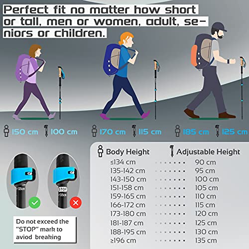 TheFitLife Carbon Fiber Trekking Poles – Collapsible and Telescopic Walking Sticks with Natural Cork Handle and Extended EVA Grips, Lightweight Nordic Hiking Poles for Backpacking Camping (Blue)