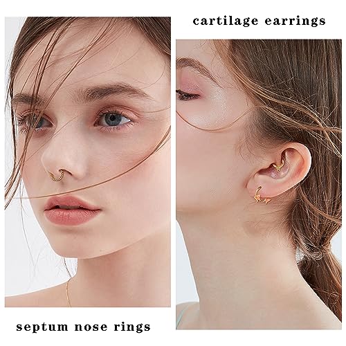 LOYALLOOK 16G Septum Rings Hoop for Women Men Surgical Steel Dangle Septum Jewelry Septum Clicker Horseshoe Nose Rings Hoop Hinged Segment Daith Helix Tragus Cartilage Earrings Piercing 10MM Gold Tone