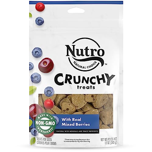 NUTRO Crunchy Dog Treats with Real Mixed Berries, 10 oz. Bag