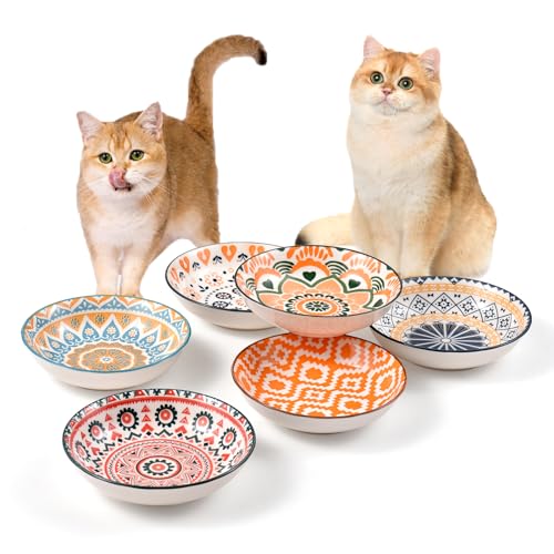 Cat Food Bowls for Indoor Cats Ceramic Cat Bowls Whisker Friendly Cat Dishes for Food and Water 5.5 Inches Kitten Bowls Cute Cat Feeding Bowls Set Cat Wet Food Bowl Set (8 pcs)