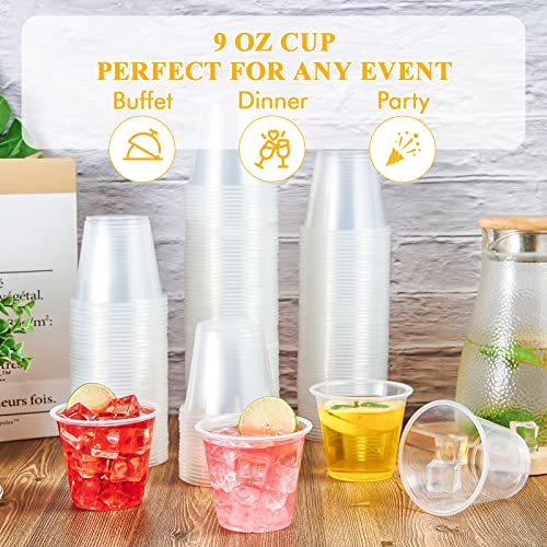 Lilymicky 300 Pack 9 oz Plastic Cups, Disposable Clear PLastic Cups, 9 Ounce Party Cups for Cocktail, Parties, Thanksgiving, Christmas Party