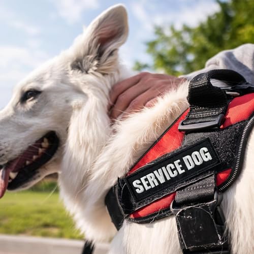 TXSN 12PCS Service Dog Patches Ask to Do Not Pet Patch Vest Removable Tactical Hook and Loop Dog Harness Vest Patch Set