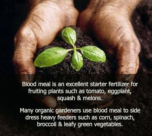 Gardenera Plant Growth Superfood for All Plants with 18 Essential Vitamins & Minerals - Organic Plant Food Fertilizer - Micro-Fungi and Bio-Organisms for All-Purpose Care & Growth Enhancement - 32oz