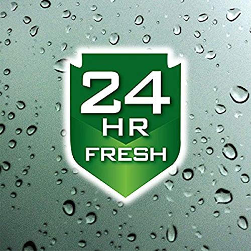 Irish Spring Gear Men's Body Wash, Exfoliating Clean with Volcanic Minerals - 18 fluid ounce (4 Pack)