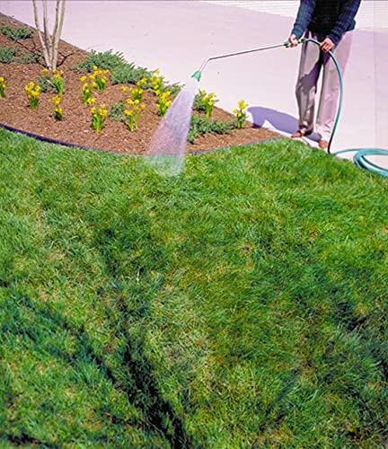 American Excelsior Company Premier Straw Erosion Control Blanket 4' X 50' - 200 sqft of Coverage