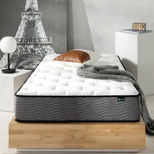 ZINUS 12 Inch True Support Hybrid Mattress [New Version], Queen, Fiberglass Free, Medium Feel, Motion Isolation, Certified Safe Foams & Fabric, Mattress in A Box
