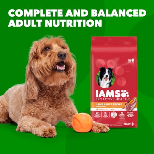 IAMS Minichunks Adult Dry Dog Food Lamb & Rice Recipe Dog Kibble, 30 lb. Bag