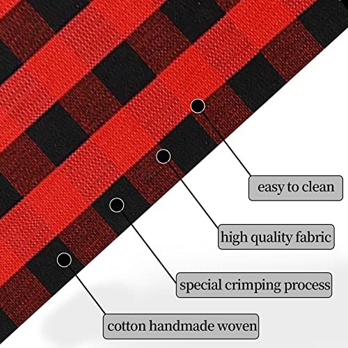 SEEKSEE Cotton Buffalo Plaid Rug 2'x3' Black and White Checked Rug Washable Doormats Indoor Outdoor Rugs for Layered Front Door Mats, Porch, Kitchen, Farmhouse, Entryway