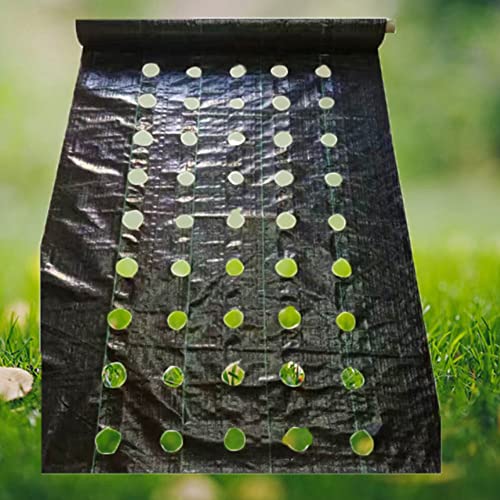 Agfabric Weed Barrier Landscape Fabric 4x6ft with Planting Holes, Hole Diameter 3", Hole Spacing 6", Row Spacing8 on Center