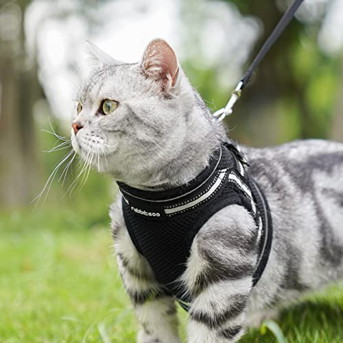 rabbitgoo Cat Harness and Leash Set for Walking Escape Proof, Adjustable Soft Kittens Vest with Reflective Strip for Cats, Comfortable Outdoor Vest, Red, M
