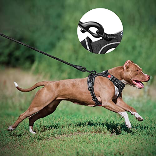 PoyPet No Pull Dog Harness and 5 Feet Leash Set, Release on Neck Reflective Adjustable Pet Vest, Front & Back 2 D-Ring and Soft Padded Pet Harness with Handle for Small to Large Dogs(Tumalo Teal,M)