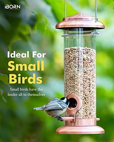 iBorn Metal Bird Feeder Hanging Wild Bird Feeders for Mix Seed Blends Heavy Duty All Metal Finishing, Copper Finish, 8 Inch 2 Port (Seed is not Included)
