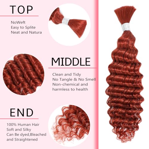 YNSNR Water Wave Bulk Human Braiding Hair for Boho Braids 100% Human Hair Unprocessed Brazilian Curly Human Hair for Human Hair Extensions 1 Braids Per of 1 pack 50g 24 Inch