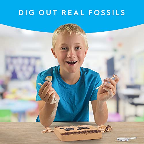 NATIONAL GEOGRAPHIC Mega Fossil Dig Kit - Excavate 15 Genuine Prehistoric Fossils, Kids Fossil Kit, Educational Toys, Great Science Kit Gift for Girls and Boys (Amazon Exclusive)