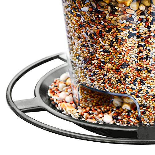 Hanging Bird Feeder Squirrel Proof for Outdoor Wild Bird Seed, Purple