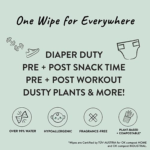 The Honest Company Clean Conscious Unscented Wipes | Over 99% Water, Compostable, Plant-Based, Baby Wipes | Hypoallergenic for Sensitive Skin, EWG Verified | Pattern Play, 10 Count