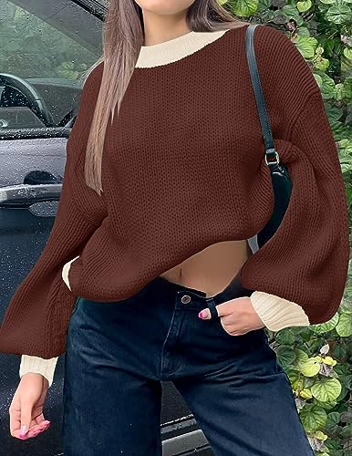 ZESICA Women's Casual Long Sleeve Crew Neck Pullover 2024 Fall Ribbed Knit Loose Contrast Color Sweater Tops,Purple,Medium