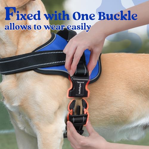rabbitgoo Dog Harness Small Sized, No Pull No Choke Pet Vest, Easy Wearing with One Buckle, Reflective, Adjustable Pet Harness with Molle for Walking, Training, Blue, S