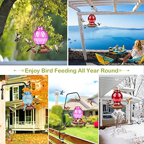 BOLITE Hummingbird Feeder, Glass Hummingbird Feeders for Outdoors Hanging, Hand Blown Glass, Five Feeding Ports with Perch, 20 Ounces, Leak Proof, Red