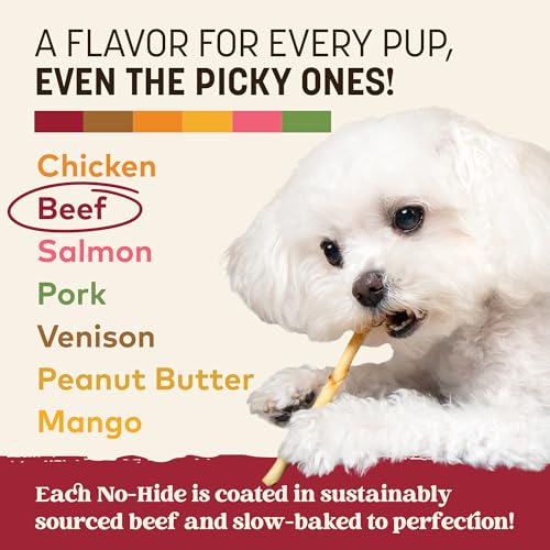 Earth Animal No Hide Stix Beef Flavored Natural Rawhide Free Dog Chews Long Lasting Chew Sticks |Treats for Small Dogs and Cats | Great for Aggressive Chewers 1.6 Oz