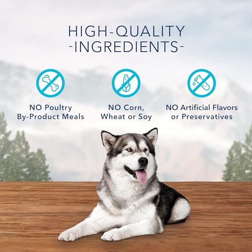 Blue Buffalo Wilderness Trail Treats High Protein Grain Free Crunchy Dog Treats Biscuits, Turkey Recipe 24-oz Bag