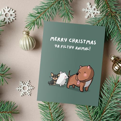 ALY LOU Christmas Cards Funny Holiday Box Set Pack Assorted, Quality Xmas Sarcastic Greeting Cards for Family Friends (10 Cards Total - White Funny & Sarcastic - 1 of each design)