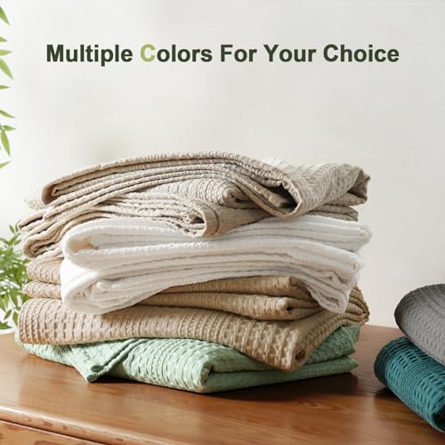 PHF Ultra Soft Waffle Weave Blanket Twin Size for Bed, Lightweight and Breathable Thin Blanket for Summer - 60"x 80" Soft Woven and Cozy Blanket for Couch Sofa Home Decor - Coconut White