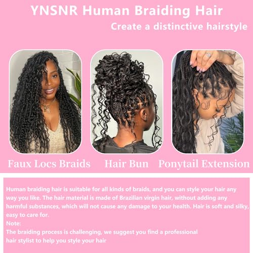 YNSNR Water Wave Bulk Human Braiding Hair for Boho Braids 100% Human Hair Unprocessed Brazilian Curly Human Hair for Human Hair Extensions 1 Braids Per of 1 pack 50g 24 Inch