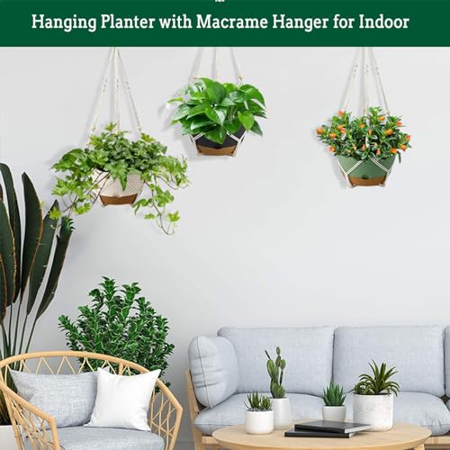 Koalaime 3 Pack Hanging Planters Set, 8 Inch Indoor Outdoor Hanging Plant Pot Basket,Hanging Flower Pot with Drainage Hole with 3 Hooks for Garden Home(8 inch Combination)
