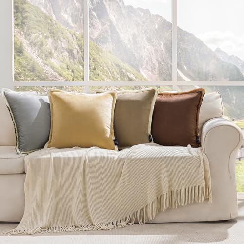 Phantoscope Pack of 2 Velvet Decorative Throw Pillow Covers, Double-Sided Tassel Trimmed Design, Soft Luxury Velvet Pillows Square Cushion Case for Couch Sofa Bed, Beige, 18 x 18 inches 45 x 45 cm