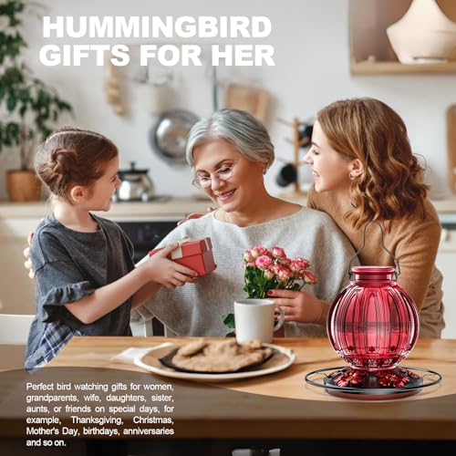 2 Pack Glass Hummingbird Feeder for Outdoors Hanging, Bird Nectar Feeder with Perch & 5 Flower Feeding Ports, 26 Oz Leak Proof for Outside Garden Decor Backyard, Gifts for Women Mom, Green Blue