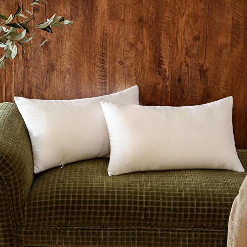 patdrea Throw Pillows - Pillow Insert Set of 2 - Throw Pillows for Couch & Bed - Soft & Comfortable White Pillows Indoor/Outdoor Decorative Cushion