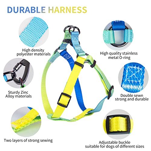 AIITLE Step in Dog Harness Collar Leash Set - Adjustable No Pull Dog Halter Harness - Comfortable Padded Handle - Easy Control for Walking - for Extra-Small Breed Dogs, Blue Gradient XS