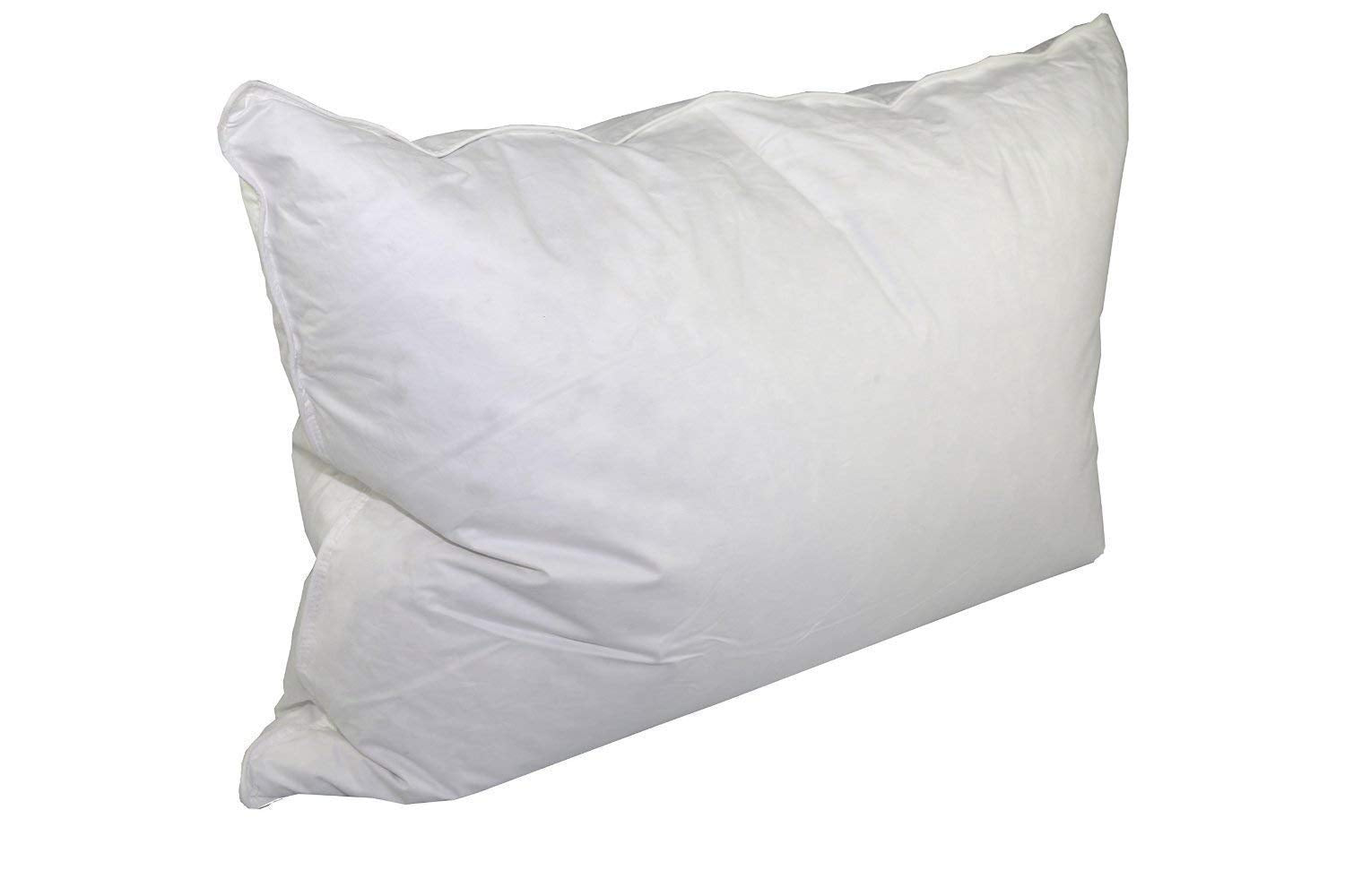 Down Dreams Classic King Pillow Set of 2
