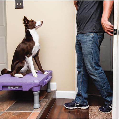Blue-9 KLIMB Training Kit, Professionally Designed Dog Platform and Accessories for Training and Agility and Accessories, Made in The USA, Black