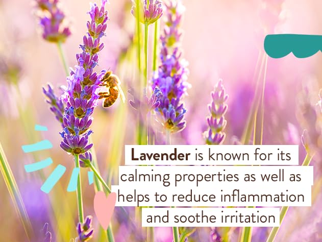 Babo Botanicals Eucalyptus Remedy Soothing Chest Rub - USDA Organic - Calming relief with eucalyptus, lavender & rosemary essential oils - Made without Camphor or Petroleum - For ages 3+