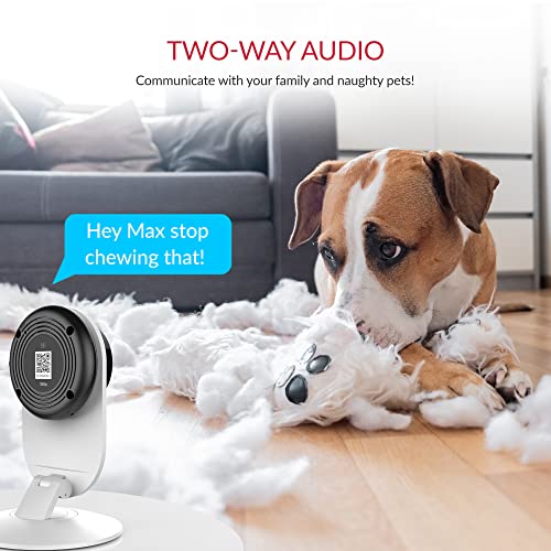 YI Pro 2K Home Security Camera, 2.4Ghz Indoor Camera with Person, Vehicle, Animal Smart Detection, Phone App for Baby, Pet, Dog Monitoring, Works with Alexa and Google Assistant