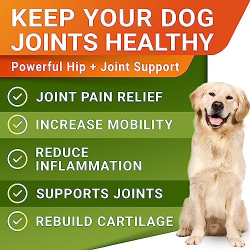 Advanced Hemp + Glucosamine Dog Joint Supplement - Hip Joint Pain Relief - Mobility Hemp Chews for Dogs - Chondroitin, MSM, Omega - Hemp Oil Treats - Made in USA - Lamb Flavor - 120 Hemp Treats
