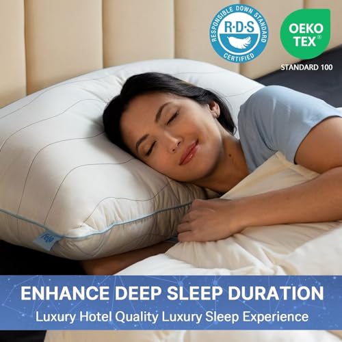 felo Feather Down Pillow Queen Size, CloudFusion Goose Down Pillow for Sleeping, Hotel Collection Bed Pillow for Side Back Pain Sleepers (20" x 30")